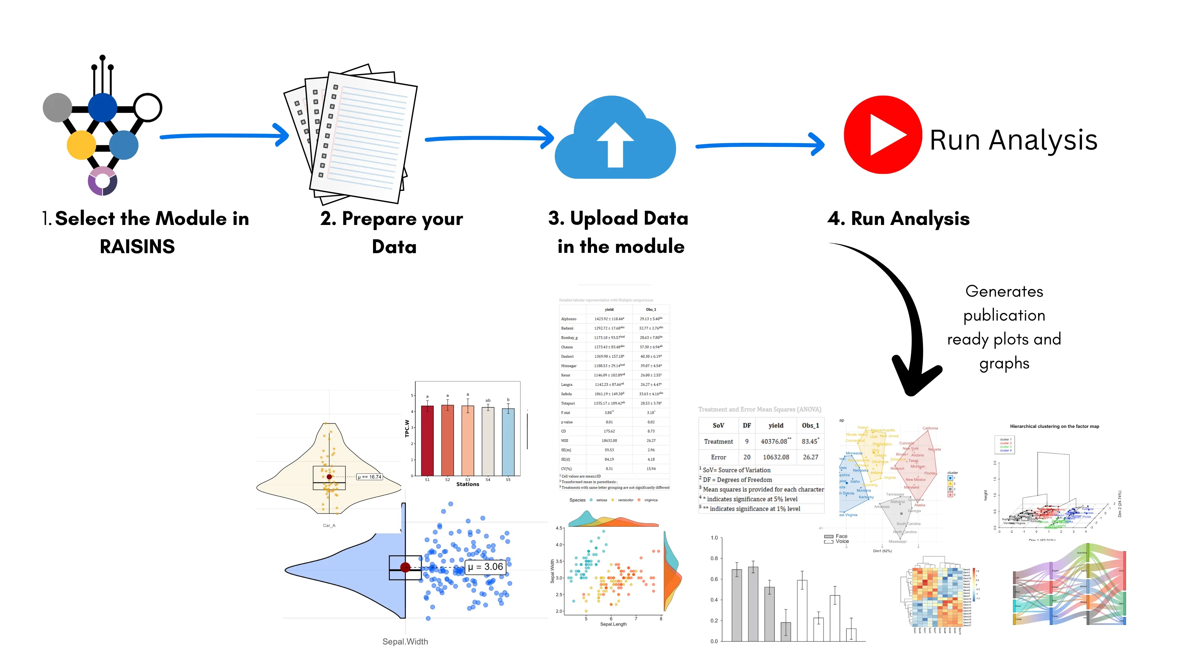 RAISINS workflow