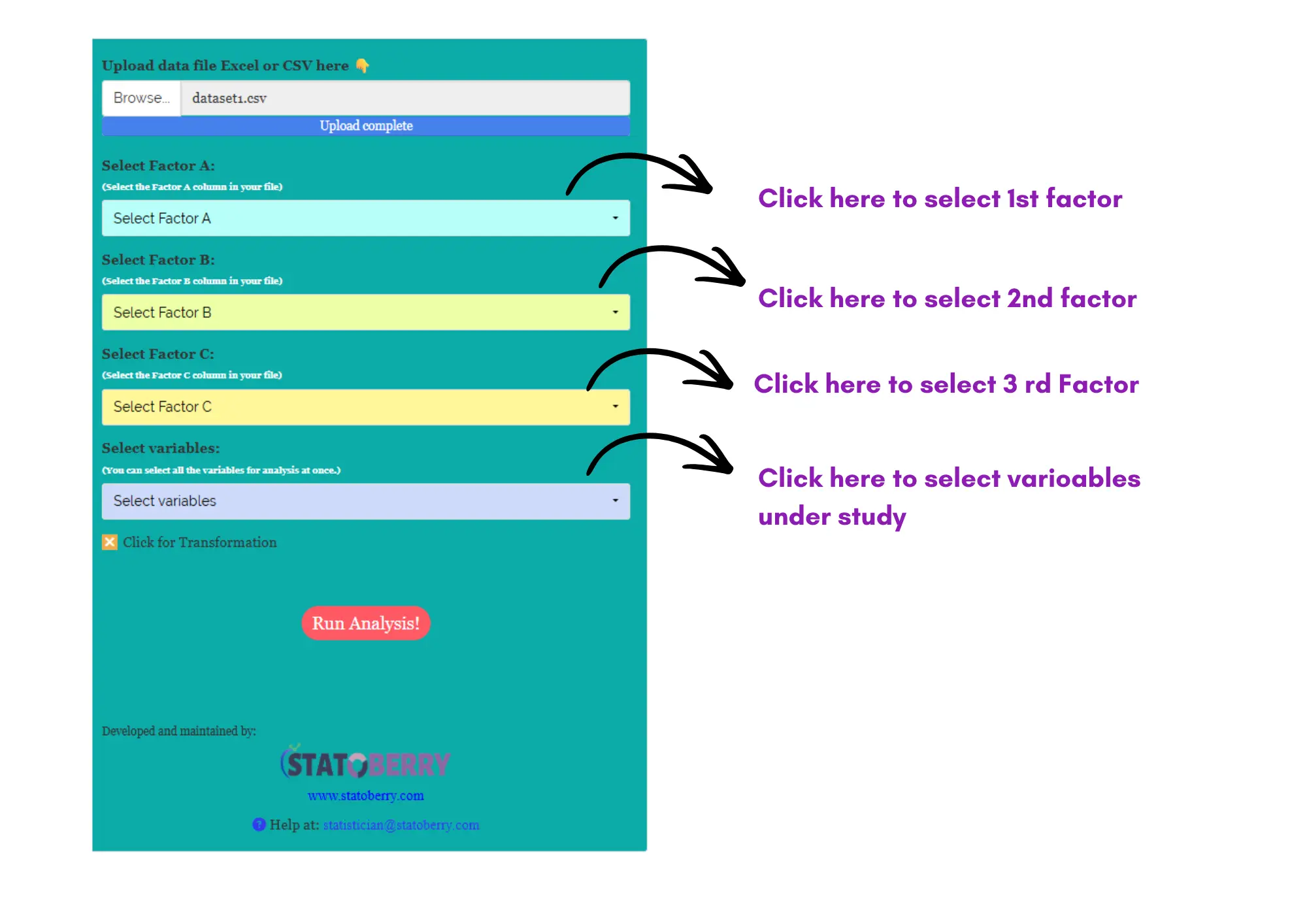 The Analysis sidebar once the file has loaded. The blue Upload complete bar confirms the upload, and the four pickers below it take, in order, the Factor A column, the Factor B column, the Factor C column, and the response variables to analyse. Click for Transformation is optional, and Run Analysis! starts the analysis