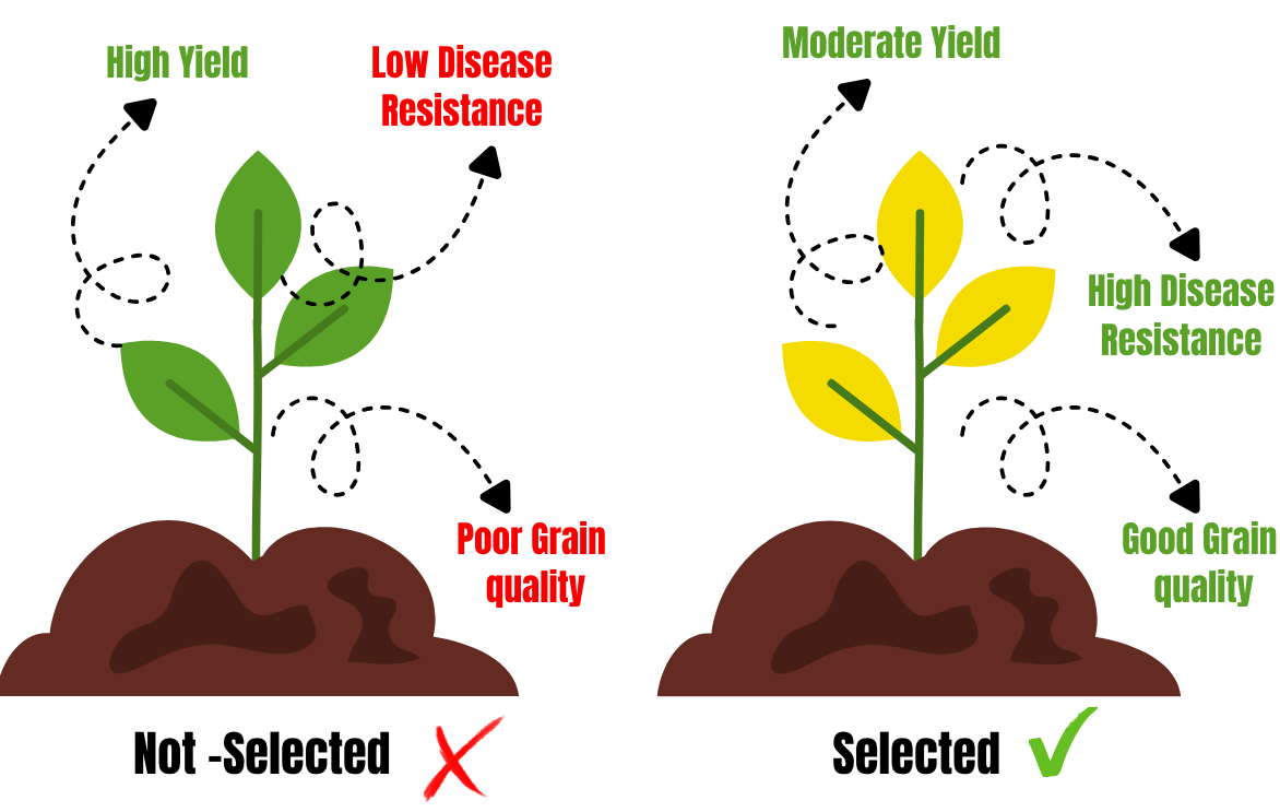 The use of considering multiple traits
