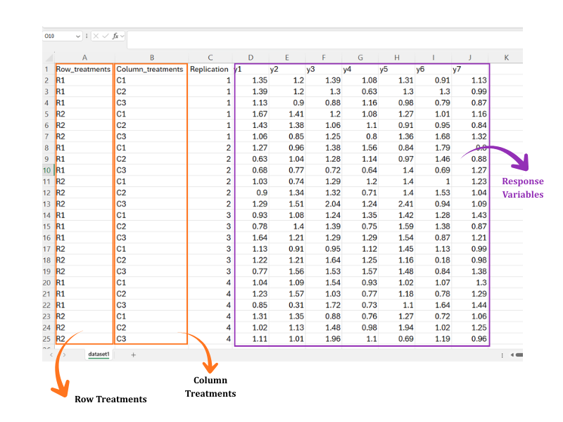 The working-example dataset as RAISINS reads it: Row_treatments (R1, R2), Column_treatments (C1, C2, C3).