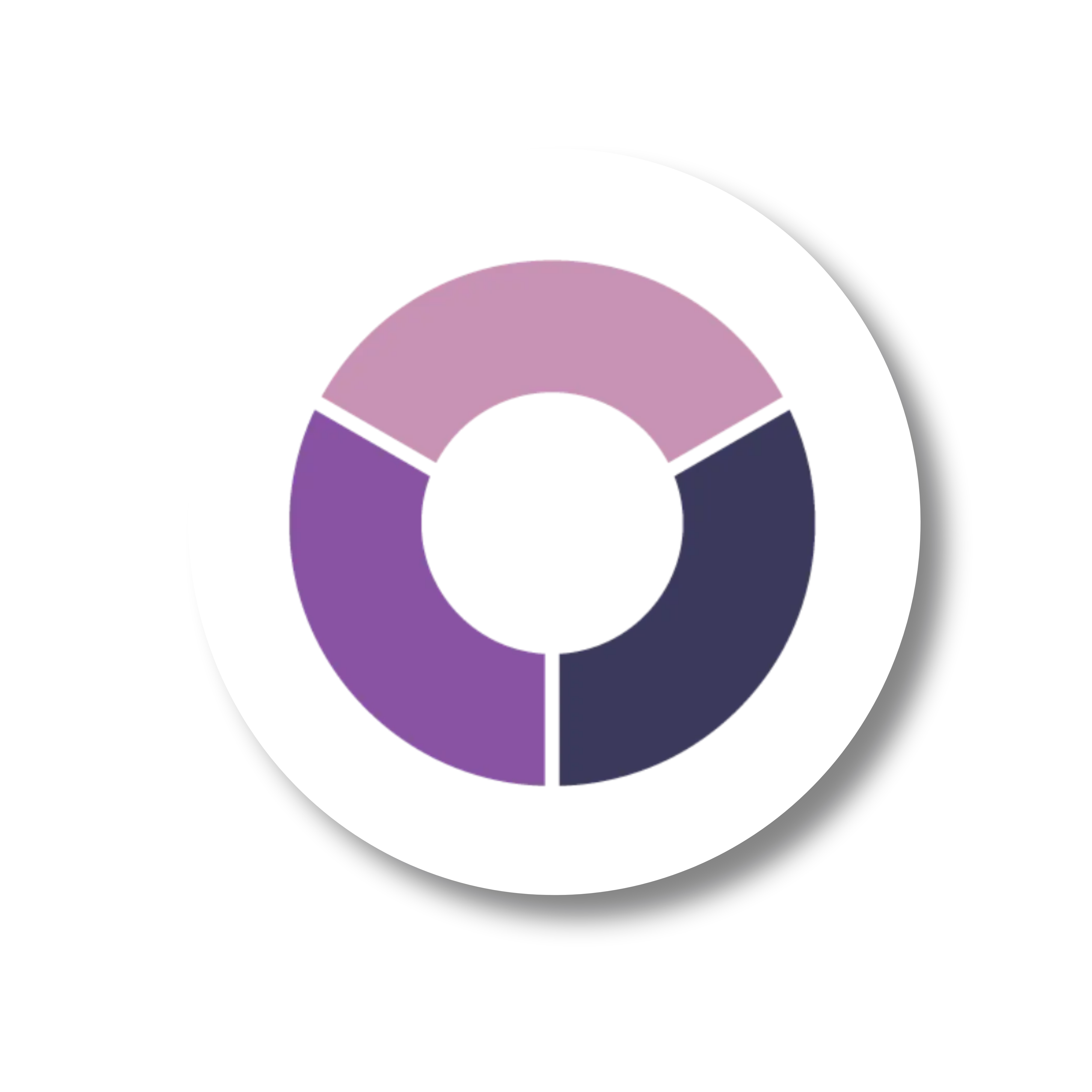 RAISINS Logo